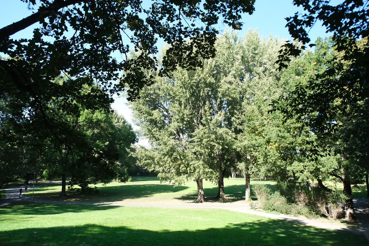 Weite Rasenfläche mit alten Bäumen im Fürther Stadtpark an einem sonnigen Tag