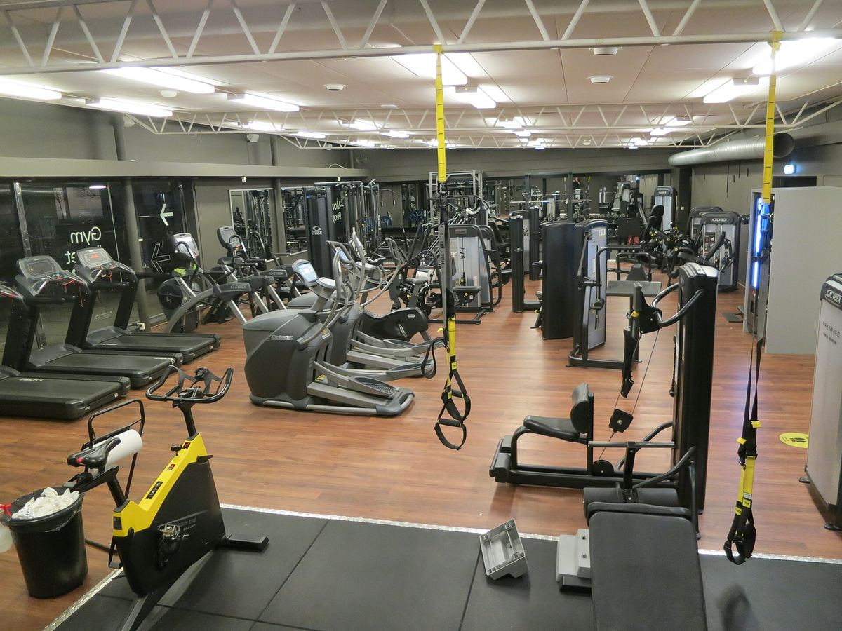 Trainingsfläche eines Fitnessstudios mit Cardiogeräten, Kraftmaschinen und Schlingentrainern